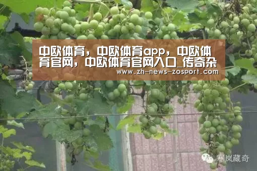 中欧体育,中欧体育app,中欧体育官网,中欧体育官网入口_传奇杂志《电影手册》全体编辑辞职 与新股东未来发展方向意见相左