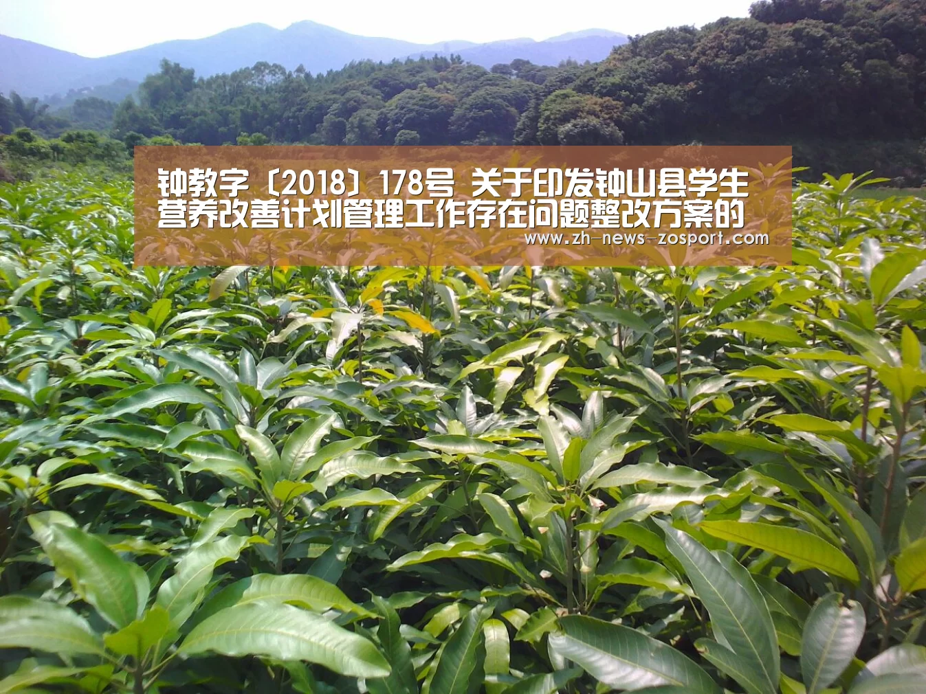 钟教字〔2018〕178号 关于印发钟山县学生营养改善计划管理工作存在问题整改方案的通知【中欧体育,中欧体育app,中欧体育官网,中欧体育官网入口】(图3) 中欧体育,中欧体育app,中欧体育官网,中欧体育官网入口